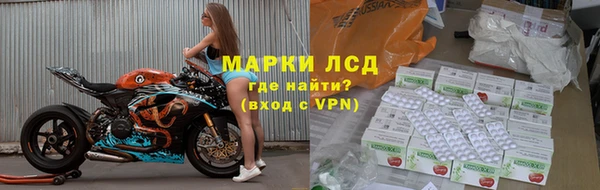 ГАЛЛЮЦИНОГЕННЫЕ ГРИБЫ Майский