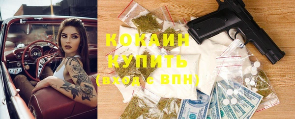 молекула духа Магадан