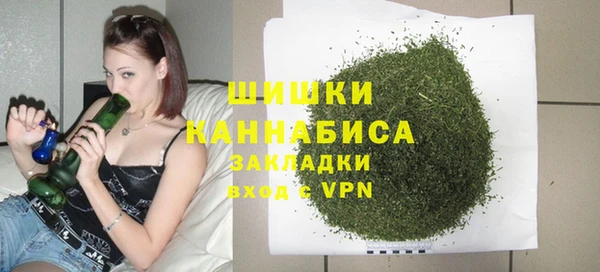молекула духа Магадан